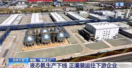 零碳工廠 新能源“就地生金”，全鏈條綠色消納體系引領未來